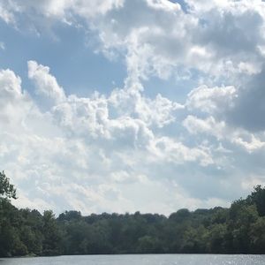 Meet your Posher, Carl